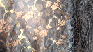 Black colour transparent dress