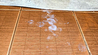 We Can Share the Bathroom but Fuck Me First, Just Don't Get Me Pregnant