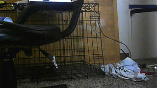 Way excited New Toy!!