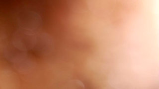 Love moments with Paradise