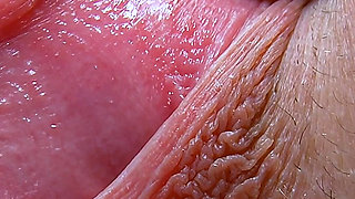 Hollis Ireland - Explicit Nudes Iii