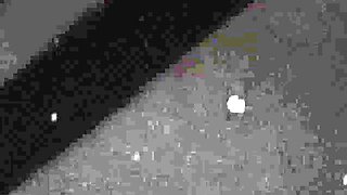 FEMOUT XXX - Compilation Updates 7th Jul to 11th Jul '2