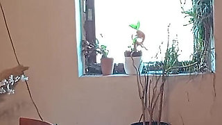 Smoking Slut Jissi Fucks My Pupms