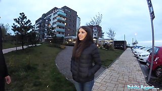 Public Agent - camcorder smut