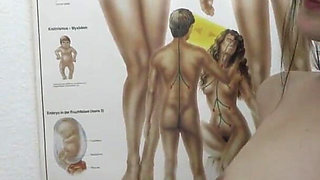 Dirty brunette likes to suck and fuck doctors cock