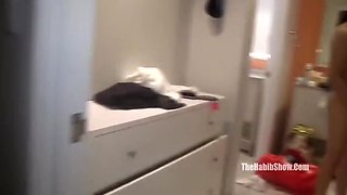 Stefania Mafra - Full Vid.jose Burns Fucks