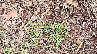 Go Outside Then Pissing Pussy Show up