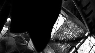 Amateur Hidden Cams Reveal Cock Riding Hoes