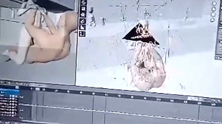 Animation video verification