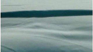 Thick Bbw Rides Vibrating Dildo In Maid Lingerie