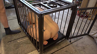 Yes, Master, I'm Yours