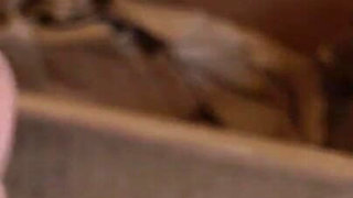 New Stretch Anal Butt Plug Unboxing