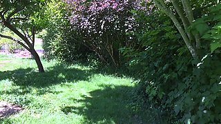 Close up teen fucking