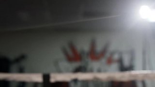 Knockout Pussy - Luna Star / Brazzers