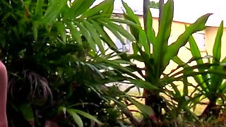 Backyard Booty Full Film