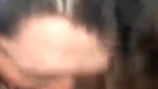 Licking His Balls Sucking His Big Cock Facefuck