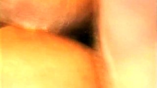 Hot blondes wild group sex