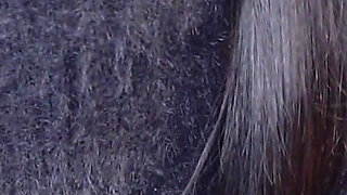 Interviewed for a Lewd Cosplay Photoshoot, Pushed Down and Unable to Refuse, Gets Raw Fucked in Her Hairy Pussy!