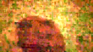 Slutboyben Cam4 Brainfukked Outdoor Pig II Gas Station Cumshot