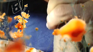 Masturbation in the nature deflower