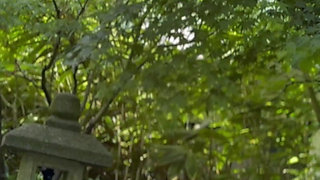 Baldur's Gate Iii - Mizora's BBC Sex Scene