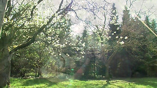 Wild Sex Stories From the Woods!