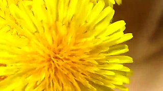 Sneeze After Sneeze and I Couldn T Stop Myself