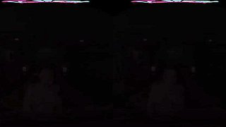 PE-VR: Blowjob, Doggy  Cowgirl Porn