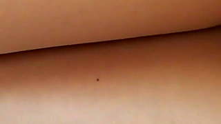 Pantyhose Legs