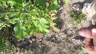 Desi Bhabhi Doggy Style Fuck in Mustard Field - Outdoor Sex with Dewar