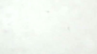 Amateur Anal Sex Between a Sexy Pregnant Woman and Her Horny Neighbor