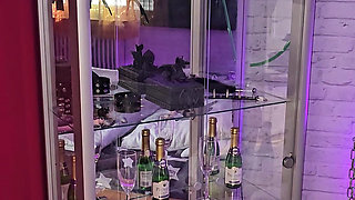 My private play oasis & private film location