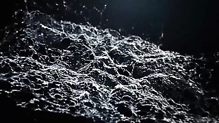 Magnetic dona's hd action