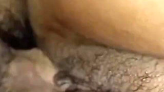Hey, What a Pussy I Have, How Did You Like It?