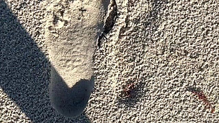 Comparing Size 16 Feet to Sand Prints at the Beach