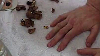 Step on Your Hands in the Bathroom