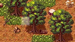 A Street Trader Lets Me Eat Her Pussy