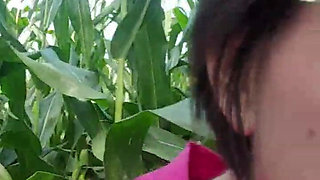 Squirt in Corn Field