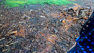 Huge Naked Tits Pounded in the Field