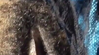 Deep Honey Pussy