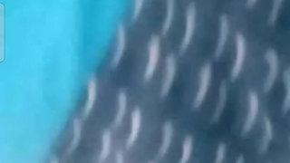 Tango Video Call Hot Talking