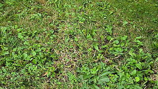 While My Vibrator Gently Weeps - Part 2