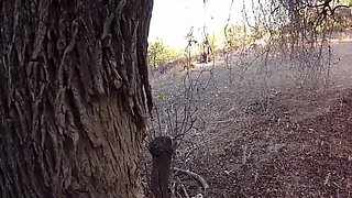 Arabian Knight Fucks A Sexy Slave Rough - Penelope Stone