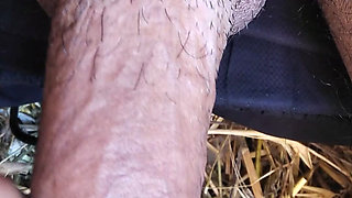 My cock so hard