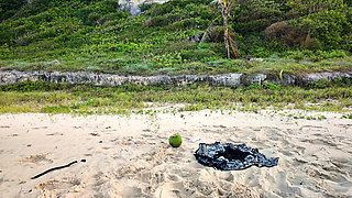 I ask a couple in the Caribbean for a coconut and screw the woman while the husband goes to get it.