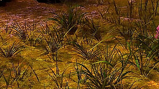 Love Season 5 Alex Sees Sophie Cute Boobs at Party