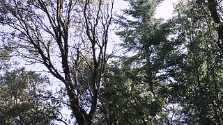Erika Lust - Shibari Outdoor Sex
