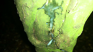 Showing Creampie on a Tree and Softening Cock After Jerk off