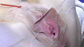 3 Licking Pussy Spread Far From Very Close