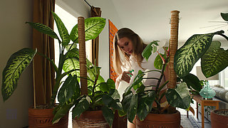 Watering the Plants